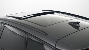 Vue 19
