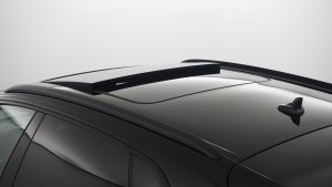Vue 19